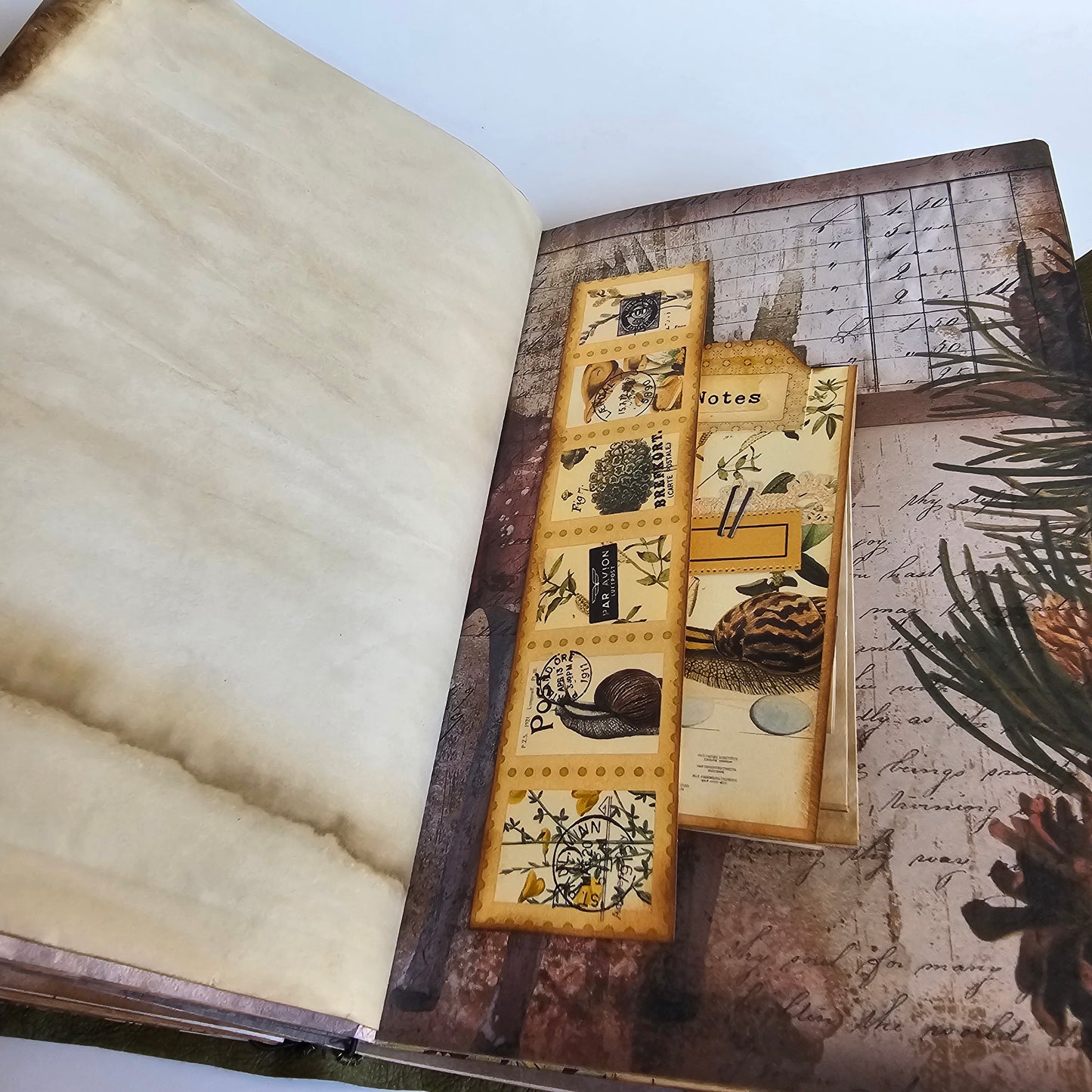 Green Nature Journal