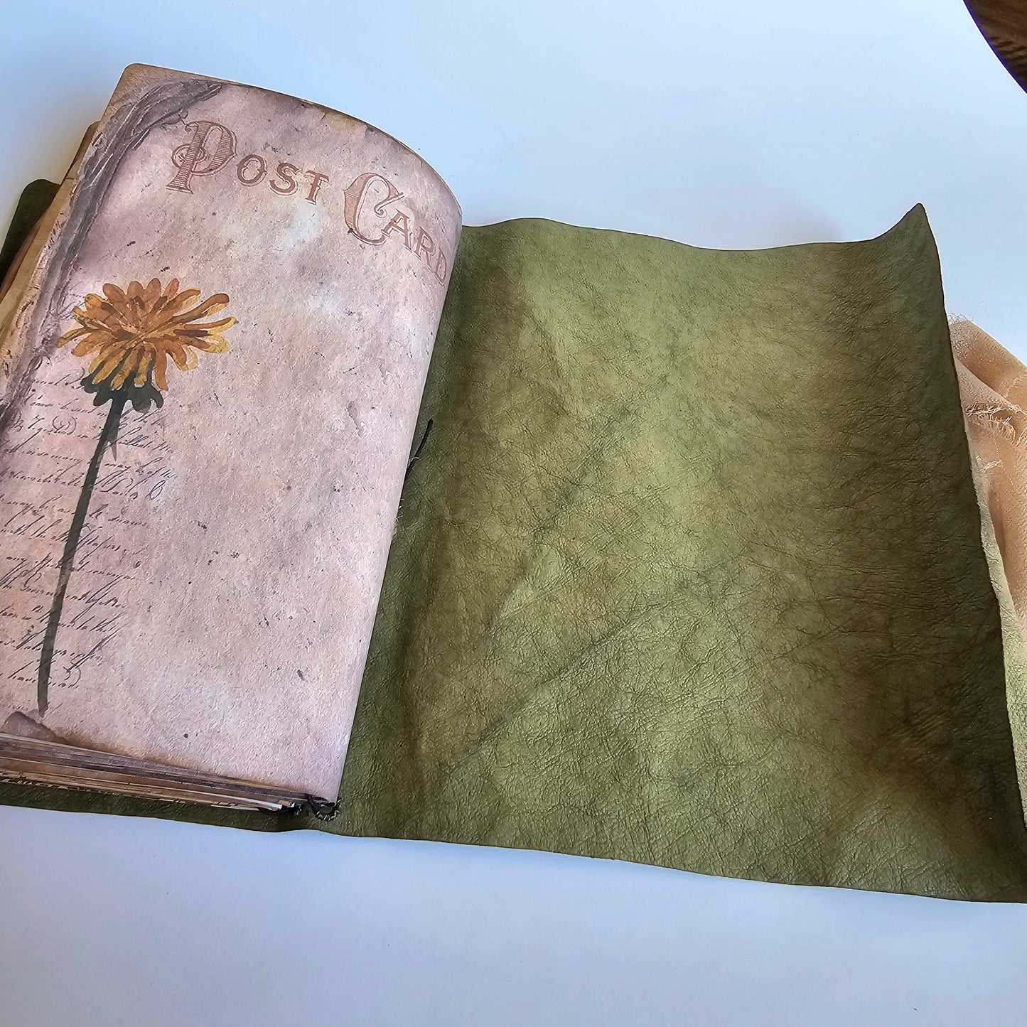 Green Nature Journal