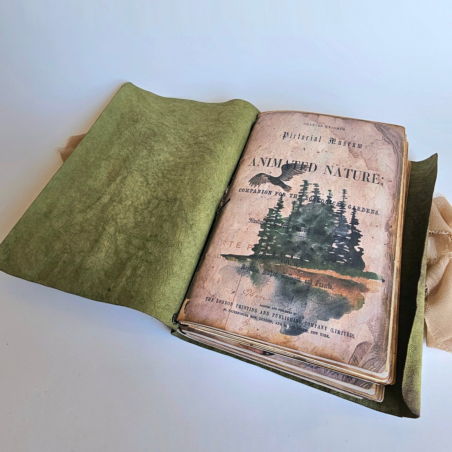 Green Nature Journal